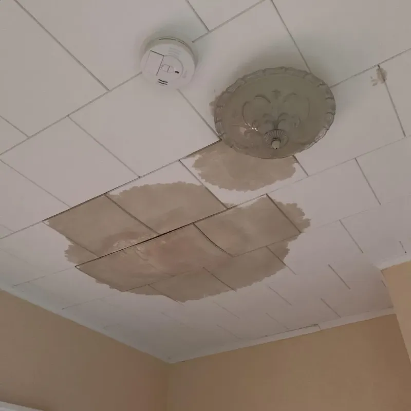 Ceiling Water Damage Repair in Estancias de Florida, PR