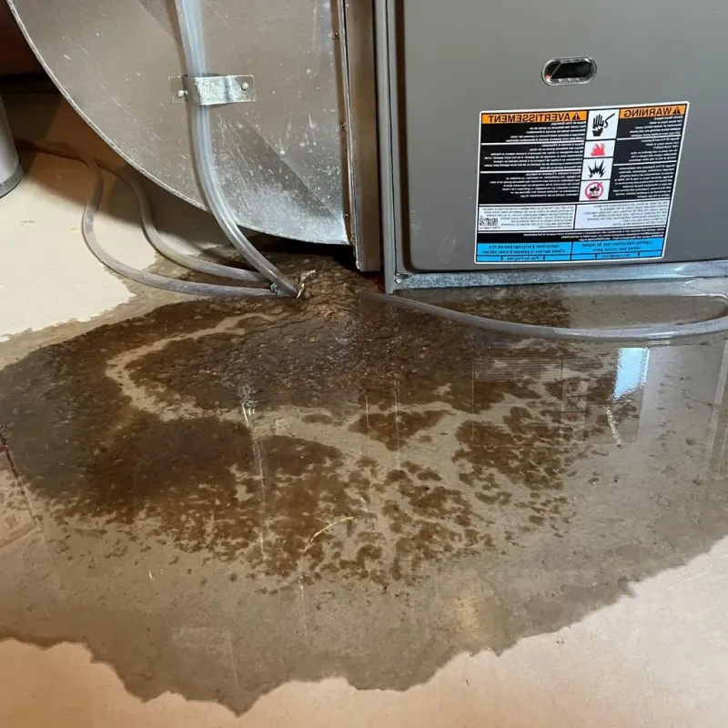 Pipe Burst and Leak Restoration in Estancias de Florida, PR
