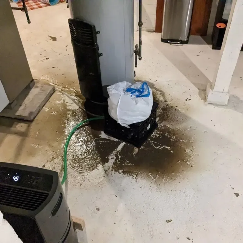 Sewage Backup Cleanup Service in Estancias de Florida, PR